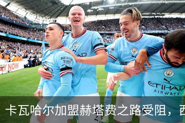 卡瓦哈尔加盟赫塔费之路受阻，西甲对薪资审核表示质疑